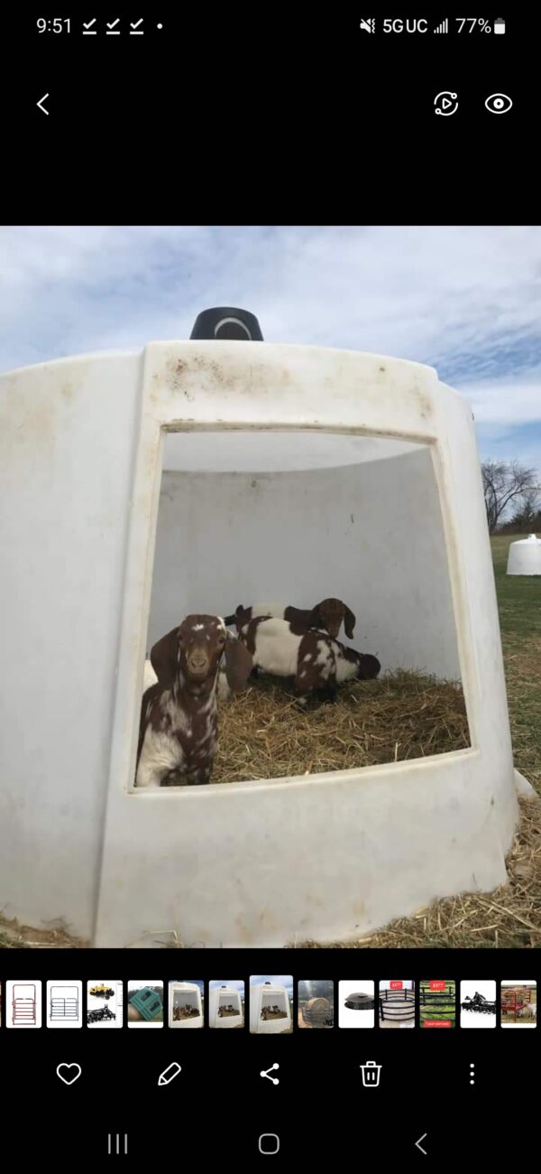 Century Small Animal Hut - Image 4