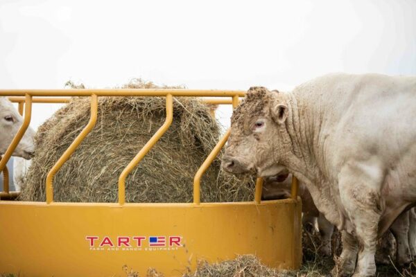 Titan Tall Bull Feeder - Image 3