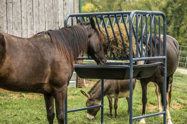 Adjustable Hay and Grain Feeder - AHGF - Image 3