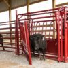CattleMaster Series 3 Squeeze Chute with Automatic Head Gate - Image 5
