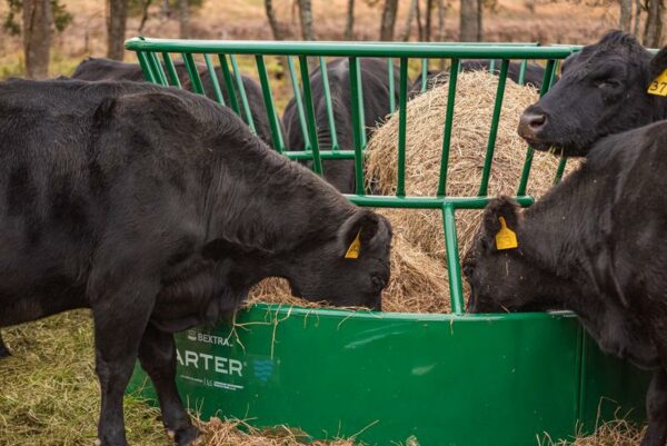 Tarter Bextra Hay Feeder - Image 3