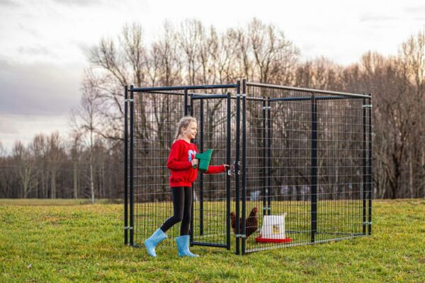 Blue Champion Kennel - Image 3