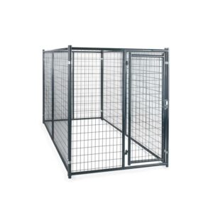 Blue Champion Kennel