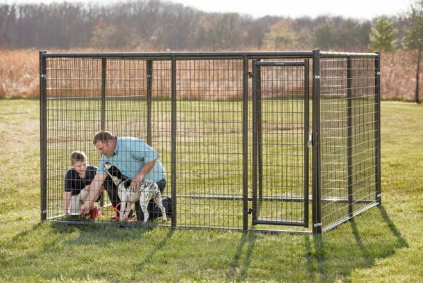 Elite Kennel - Image 2
