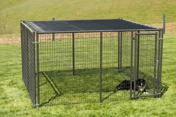Elite Kennel - Image 3