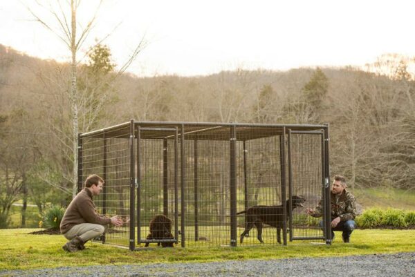 Elite Kennel - Image 6