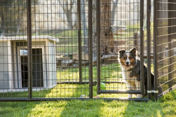 Elite Kennel - Image 8