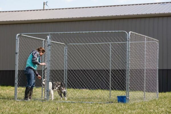 Galvanized Chain Link Kennel - Image 2