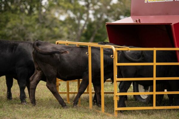FeedMaster 165 Portable Creep Feeder - Image 3