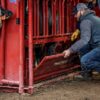 CattleMaster Series 6 w/auto Headgate - Image 2