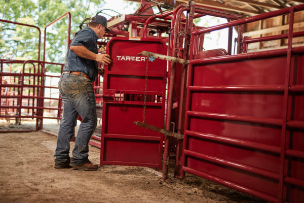 CattleMaster Palpation Cage - Image 5