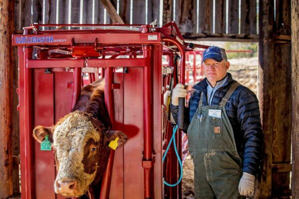 CattleMaster Series 9 Squeeze Chute - Image 2