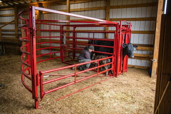 CattleMaster Maternity Pen - Image 5