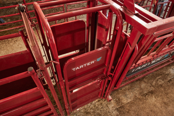 CattleMaster Palpation Cage - Image 6