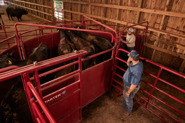 180° CattleMaster Sheeted Sweep System - Image 4