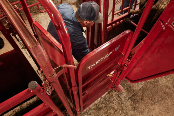 CattleMaster Palpation Cage - Image 2
