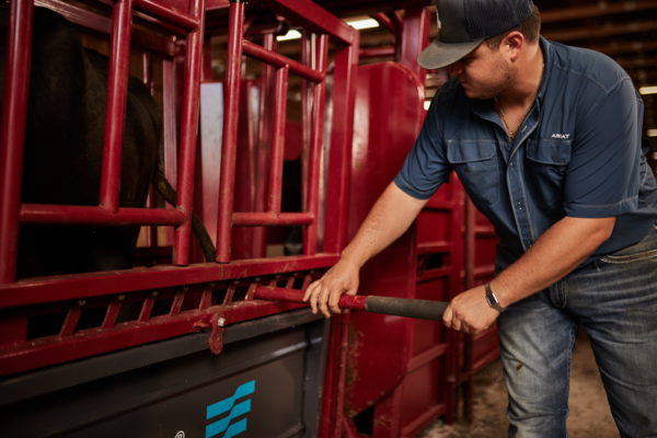 CattleMaster Series 12 Hydraulic Chute - Image 6