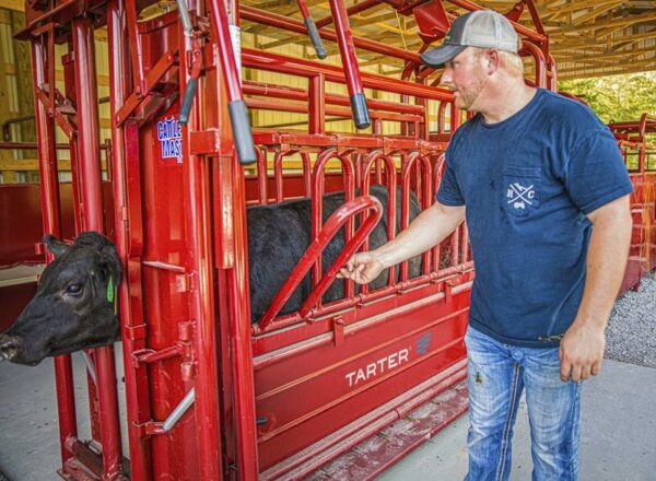 CattleMaster Series 6 Squeeze Chute w/Manual Headgate - Image 3