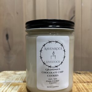 Grandma's Chocolate Chip Cookies